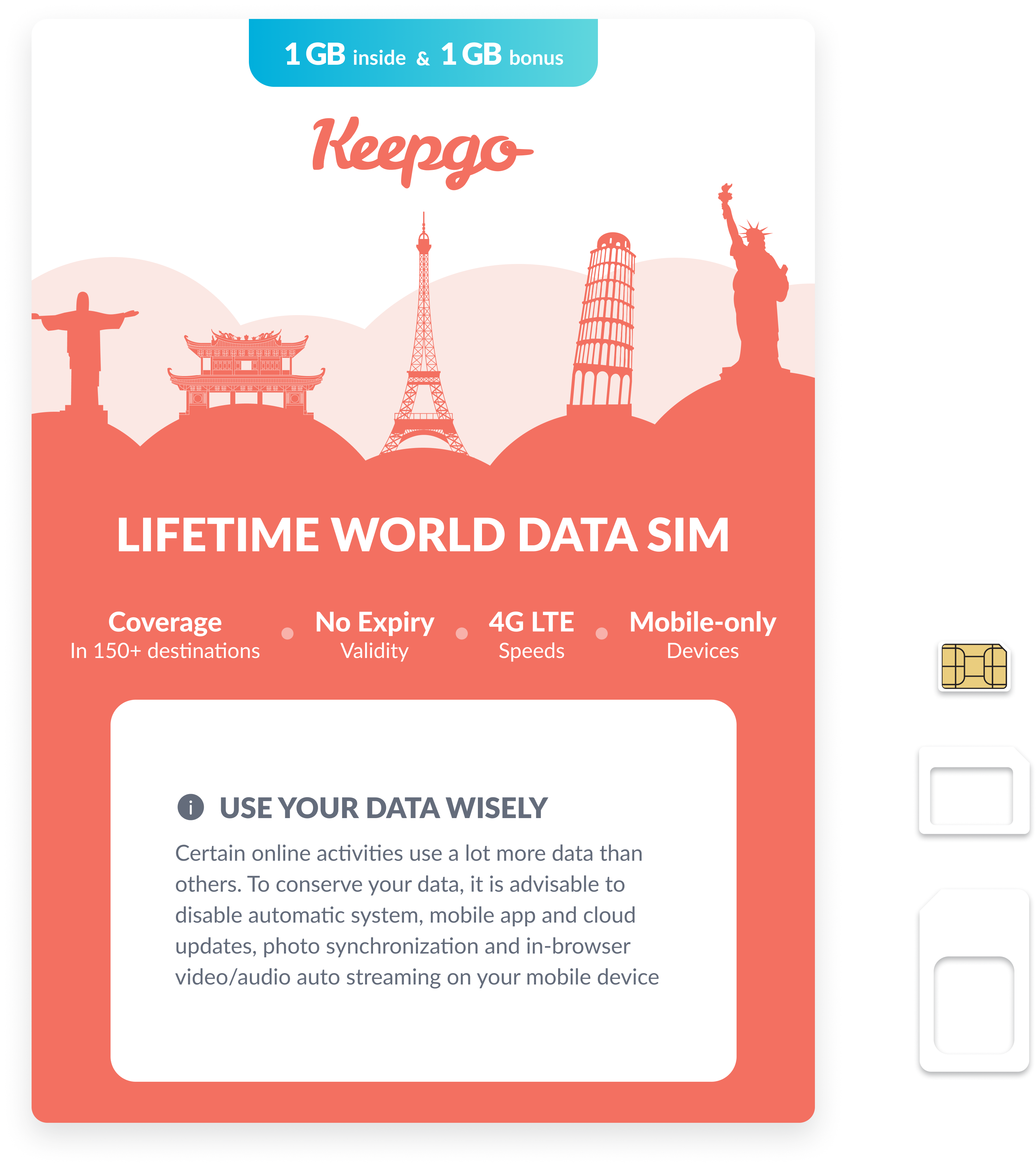 Lifetime World SIM Card