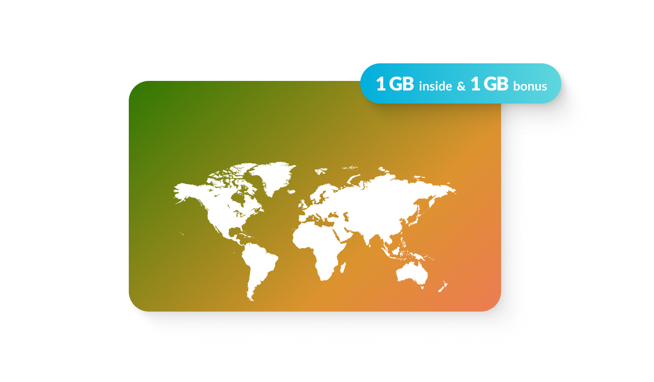 Lifetime World SIM Card