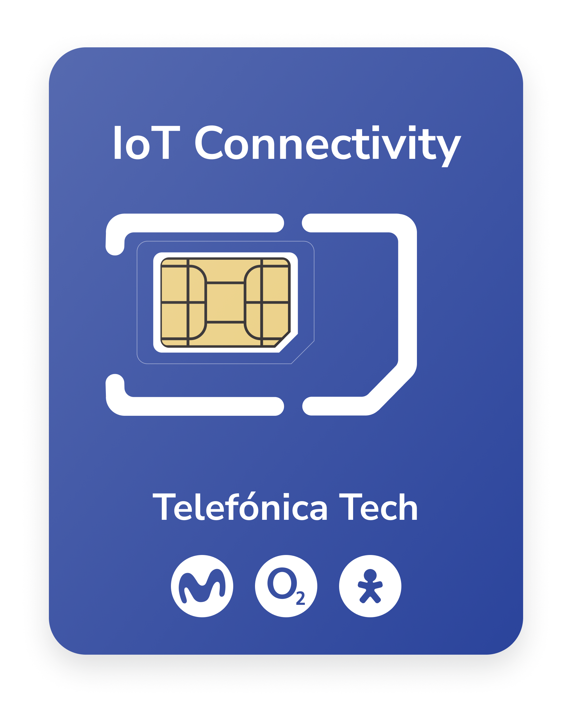 Lifetime IoT World SIM Card
